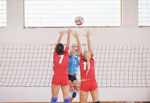 meninas jogando vôlei jogo indoor 948943 Foto de stock no Vecteezy