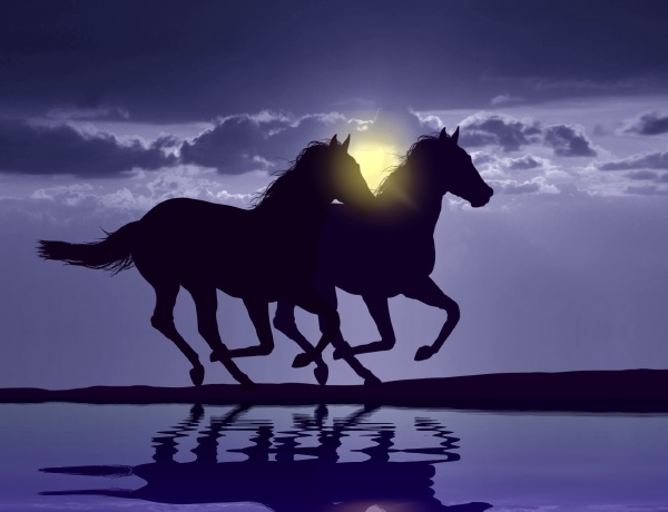 imagem de uma manada de belos cavalos correndo em um pôr do sol