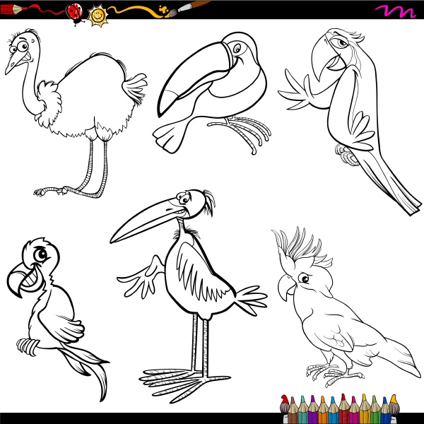 livro de colorir, aves para colorir, desenhando aves, desenhar