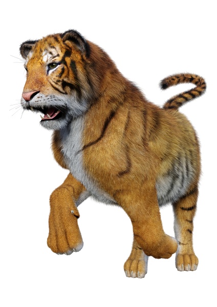 Renderização 3d De Um Grande Tigre De Gato Isolado No Fundo Branco