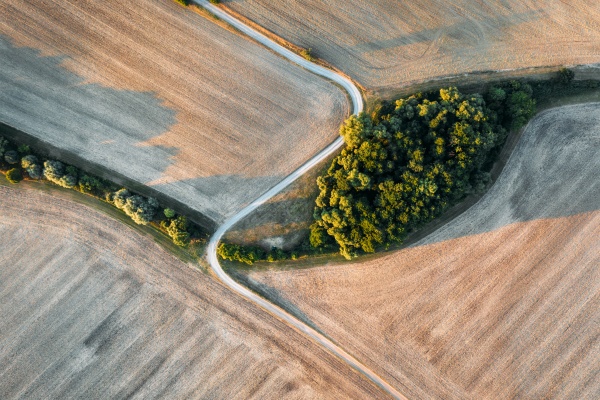 vista aerea abstrata do campo cortado