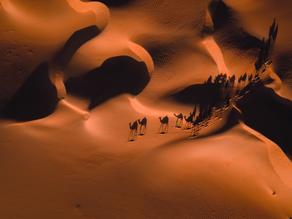 vista aerea abstrata de camelos e