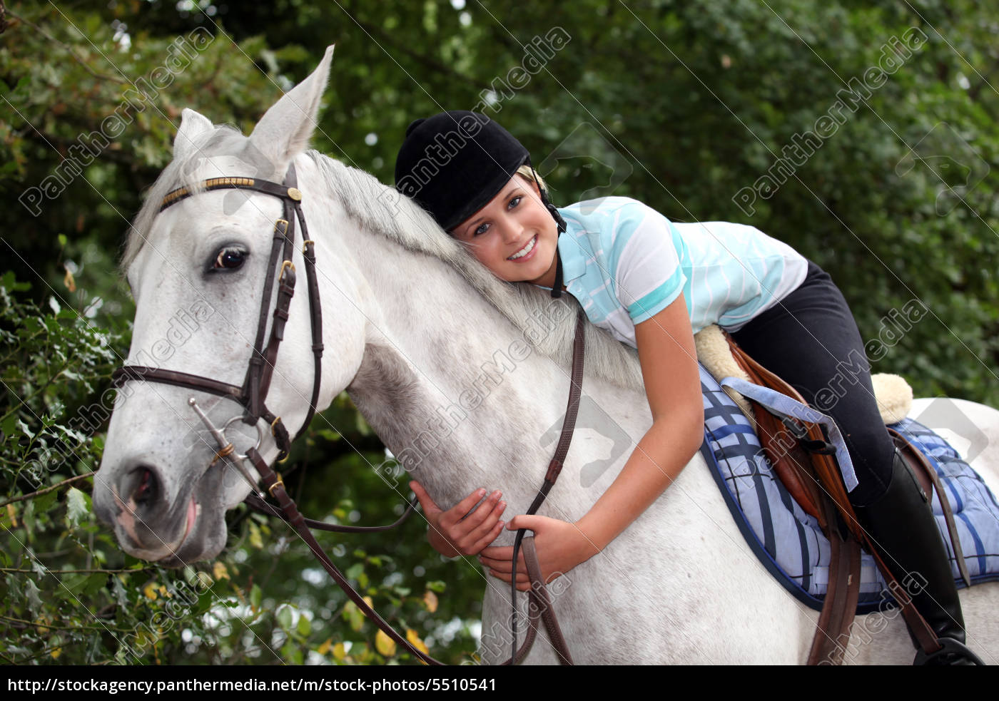 Foto de Retrato De Cavalo Pulando Sobre Obstáculo e mais fotos de stock de  Cavalo - Família do cavalo - Cavalo - Família do cavalo, Concurso de Saltos  Equestres, Primeiro plano - iStock