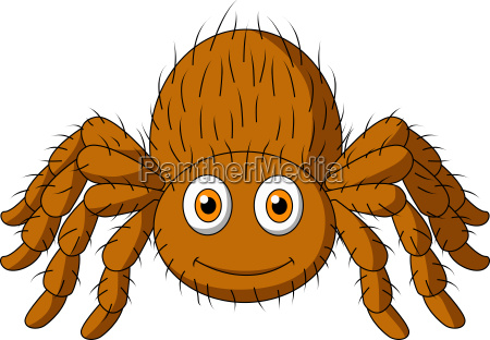 tarântula bonito dos desenhos animados da aranha - Stockphoto #9067252 |  Banco de Imagens Panthermedia