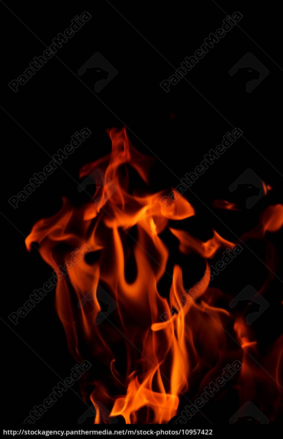 Chama ardente do fogo no fundo preto, Foto Premium