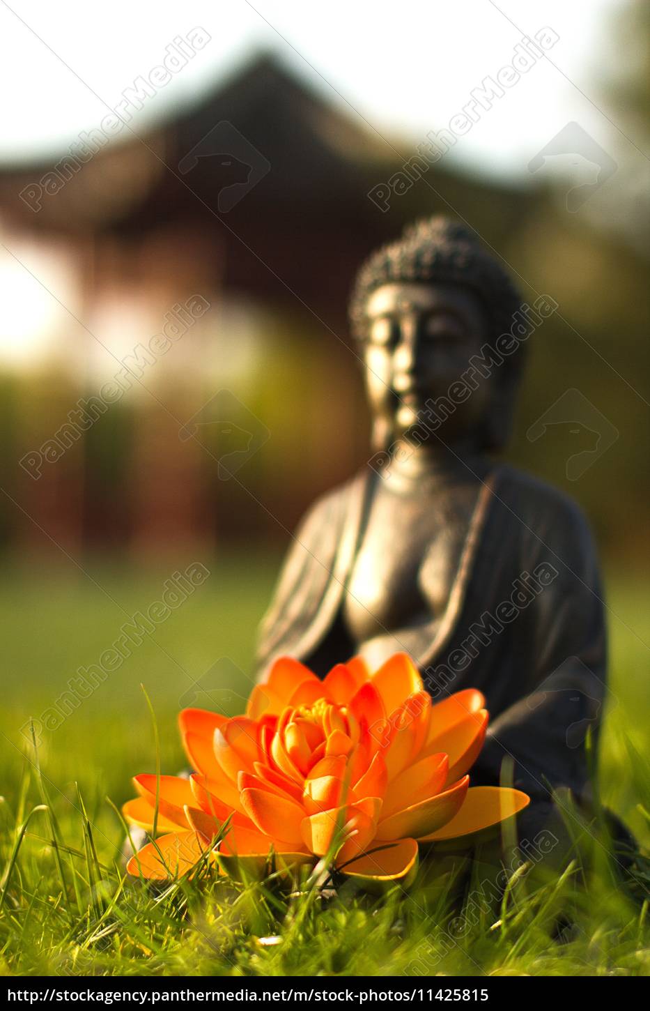 Flor de lótus beleza meditação símbolo de ioga v19