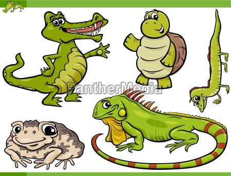 conjunto de desenhos animados de répteis e anfíbios - Stockphoto #13075410  | Banco de Imagens Panthermedia