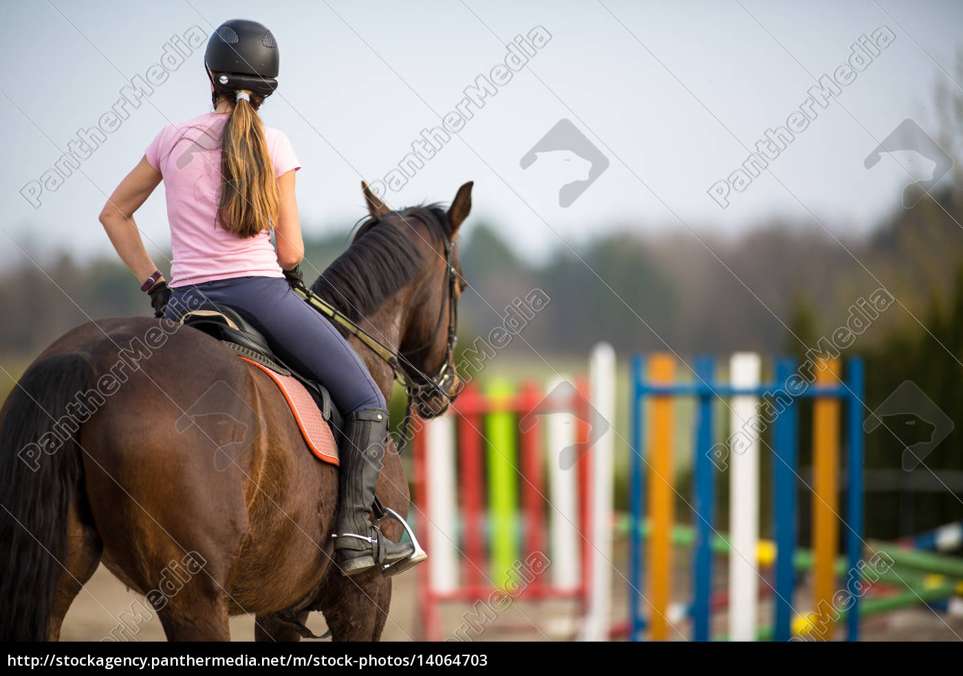 Jovem mostra pulando com cavalo - Fotos de arquivo #14932093