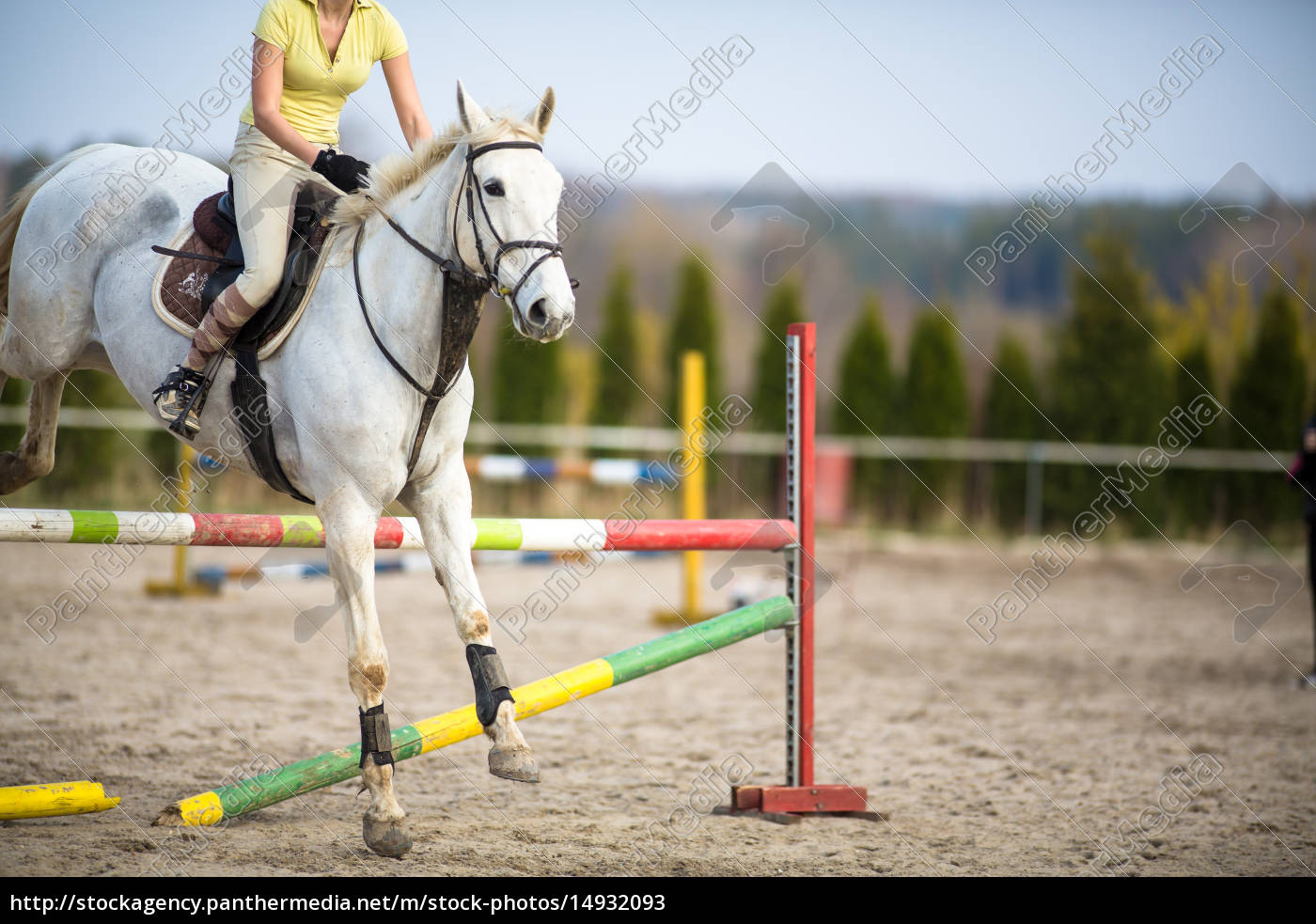 Jovem mostra pulando com cavalo - Fotos de arquivo #14202335