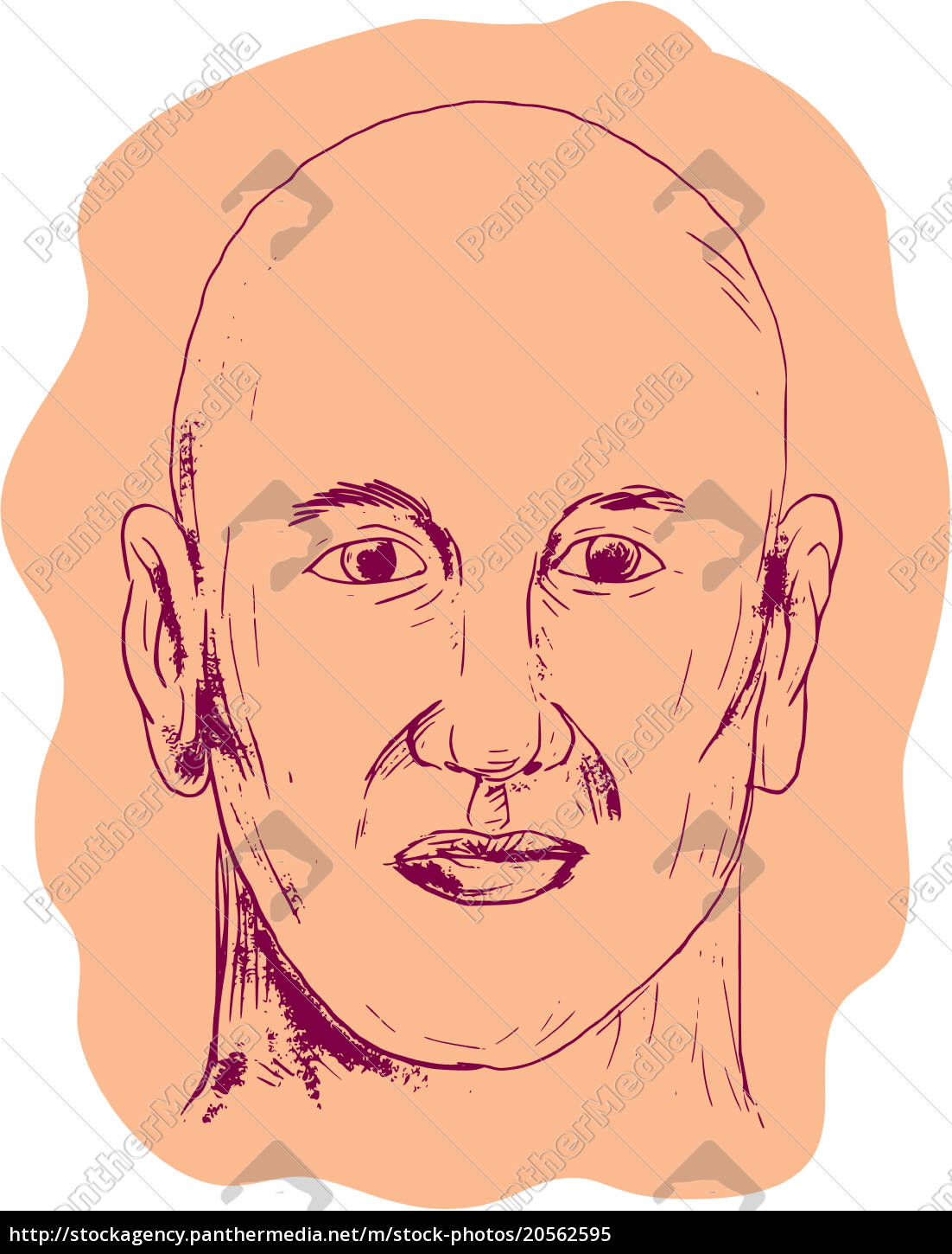 Desenho careca Fotos de Stock, Desenho careca Imagens sem royalties