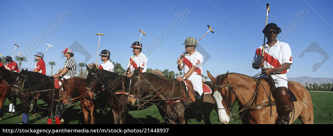 Foto de Cavalos De Polo e mais fotos de stock de Jogo de Polo