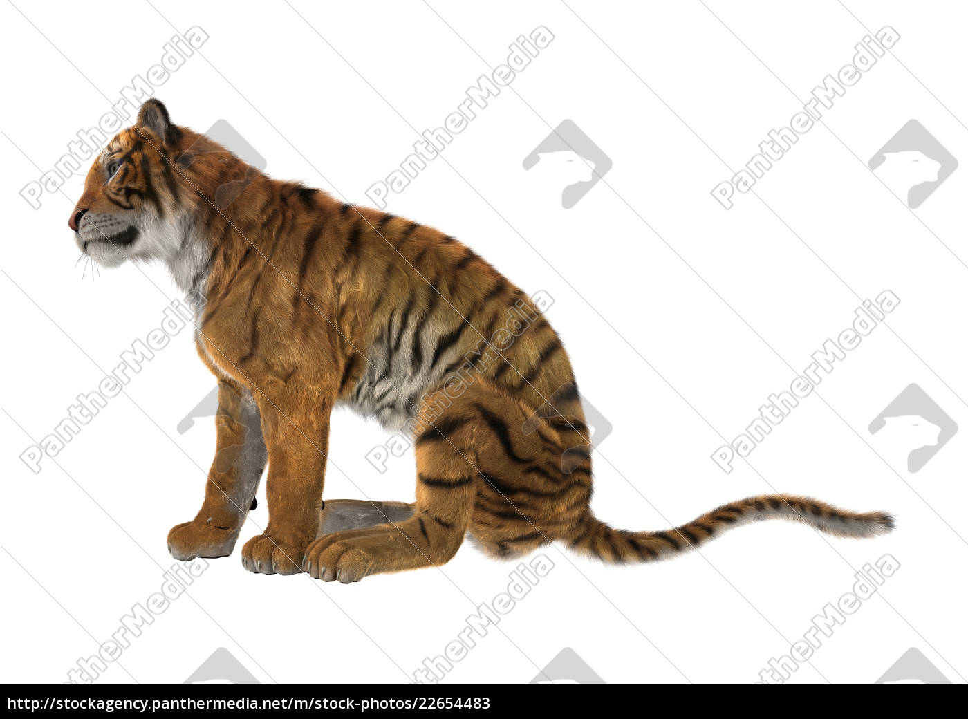 Renderização 3d De Um Grande Tigre De Gato Isolado No Fundo Branco