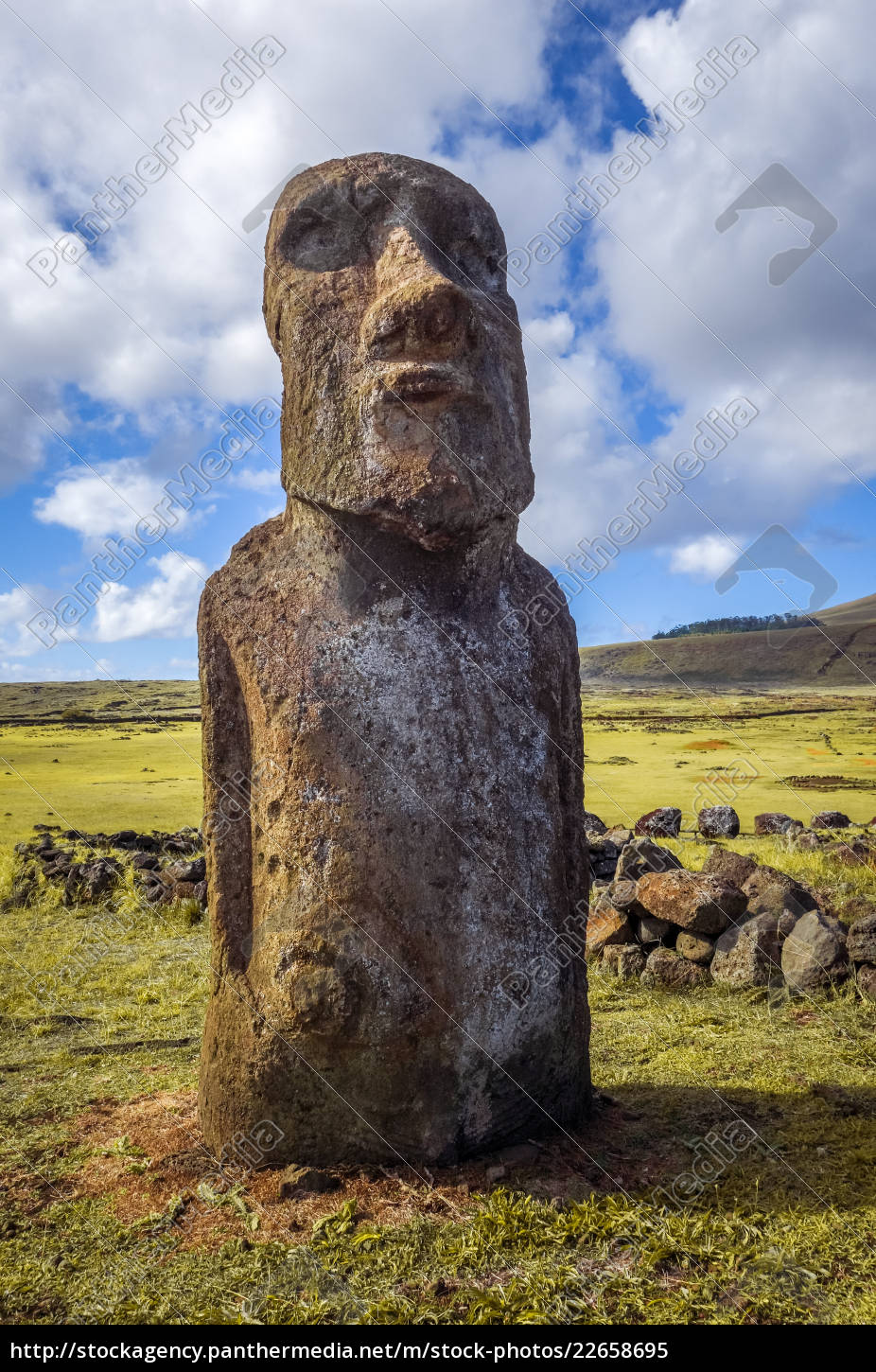 Ilustração em vetor premium de estátuas moai na ilha de páscoa