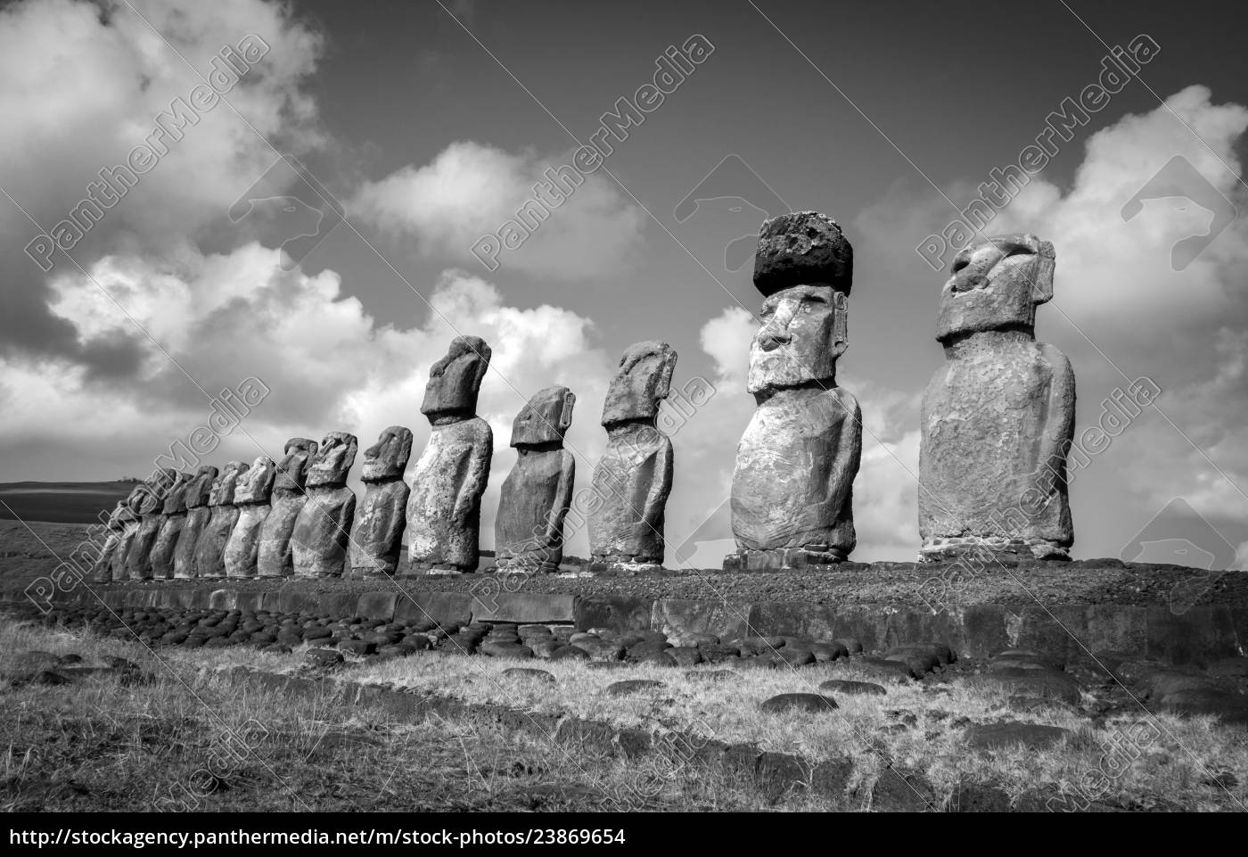 Ilustração em vetor premium de estátuas moai na ilha de páscoa