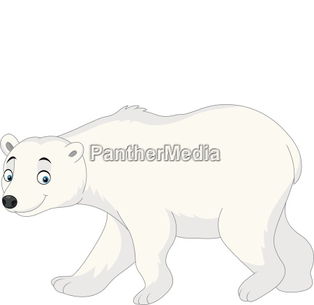 Urso Polar Dos Desenhos Animados Isolado No Fundo Stockphoto Banco De Imagens