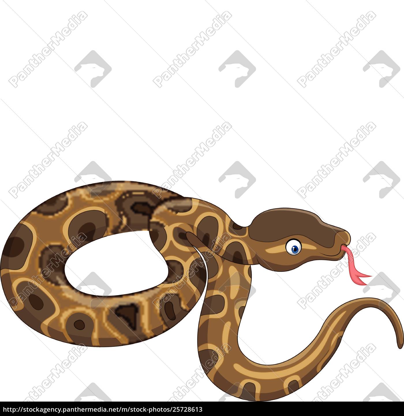 Cobra cobra-rei do desenho animado no fundo branco - Fotos de arquivo  #27977611