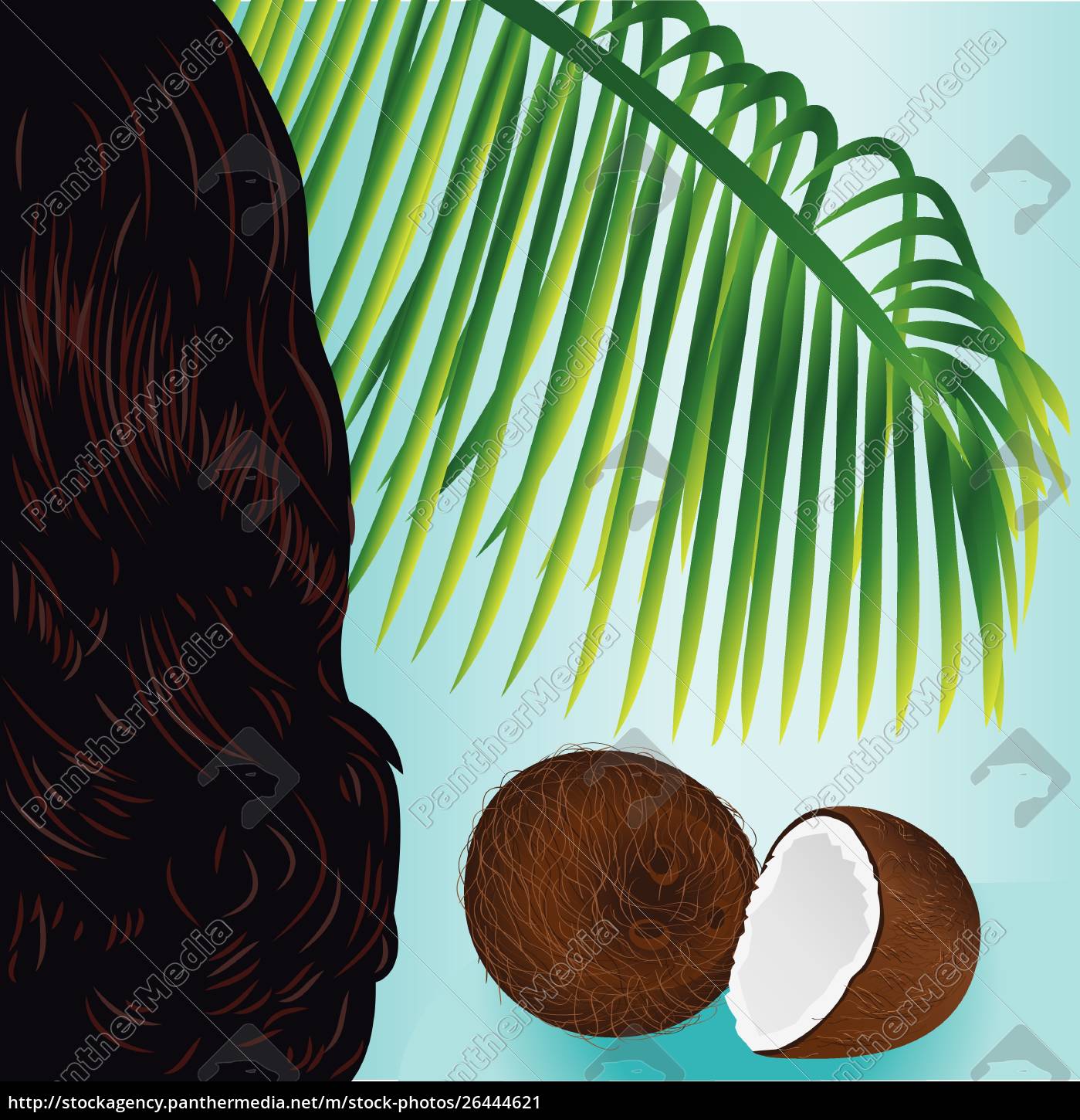 Folha de palmeira da fruta da porca tropical do coco e - Fotos de
