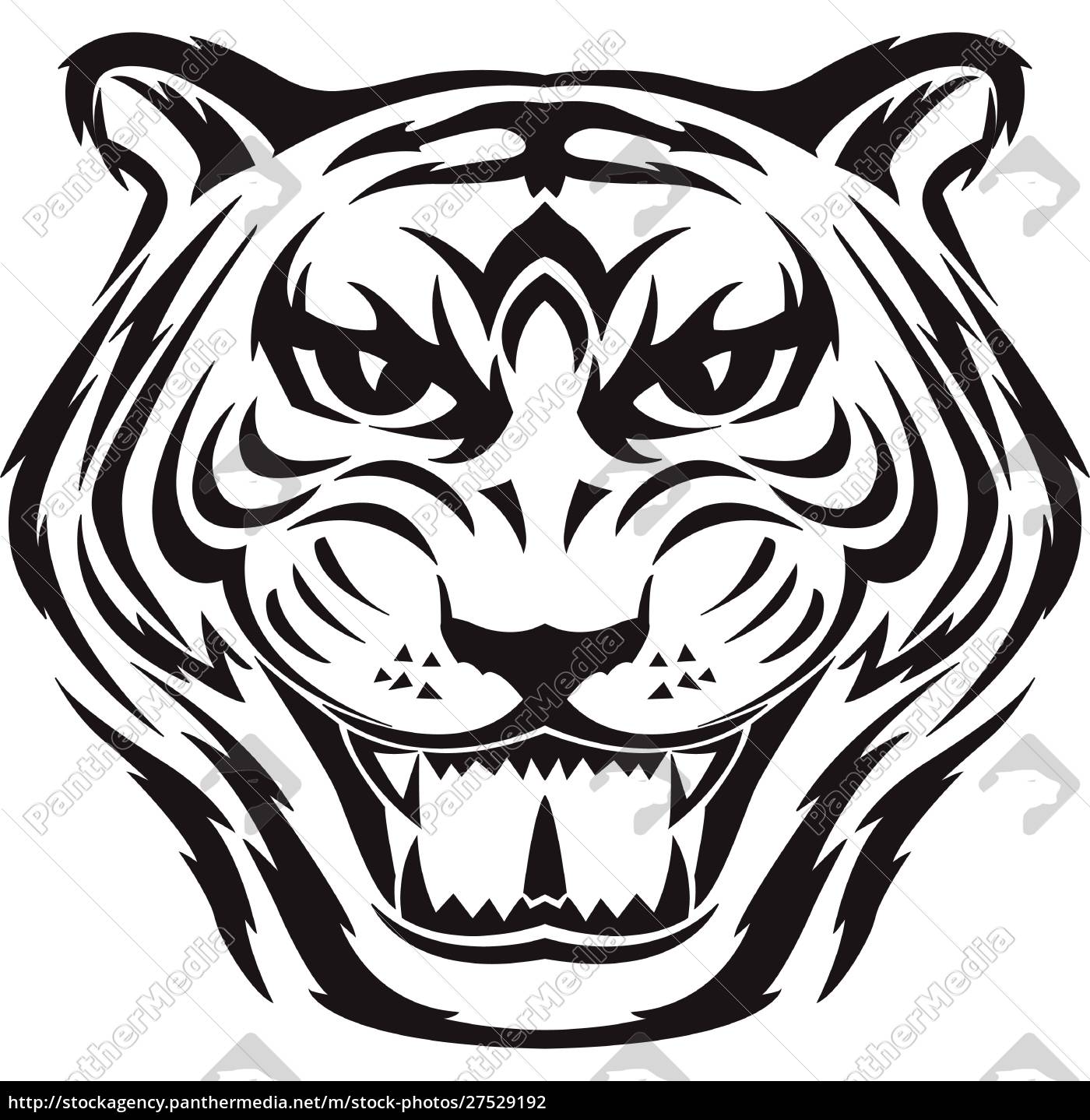 Rostro de tigre - tiger face