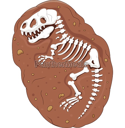 Desenho animado Tyrannosaurus rex fóssil - Stockphoto #27721515