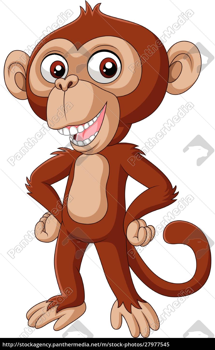 Desenho de macaco bebê fofo