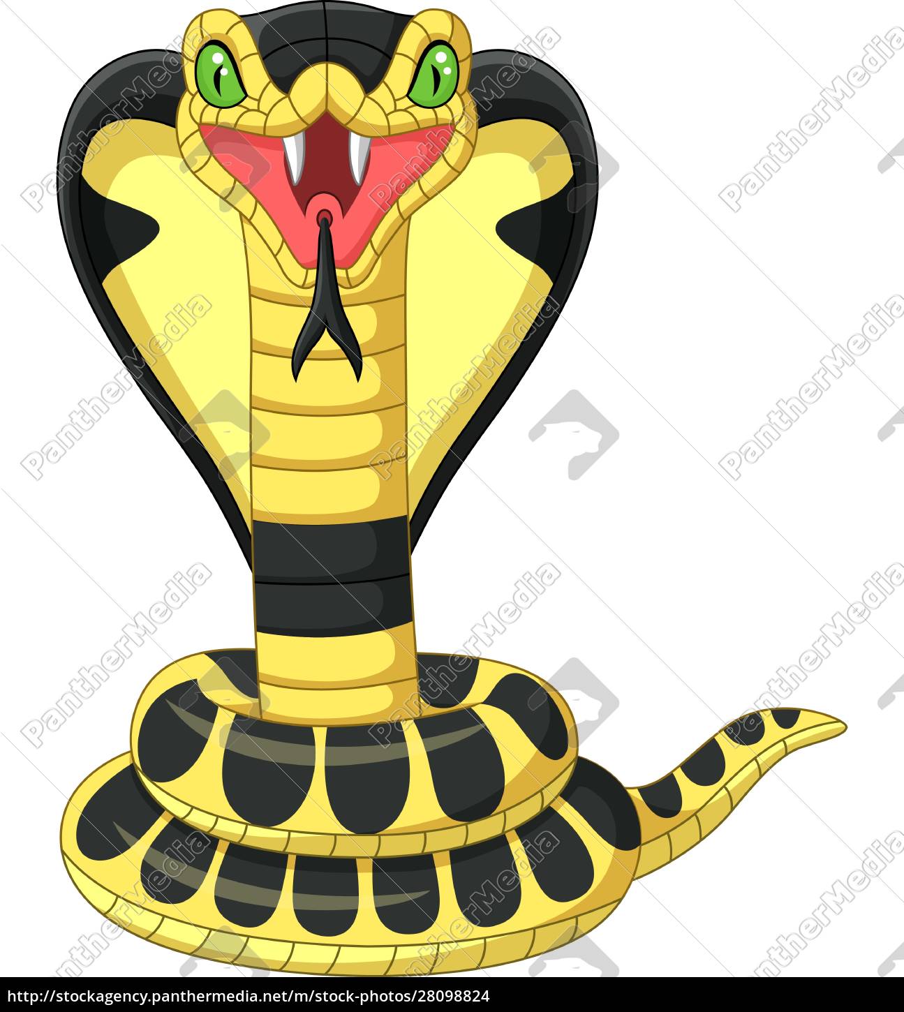 Mascote cobra-cobra-rei do desenho animado - Stockphoto #28098824