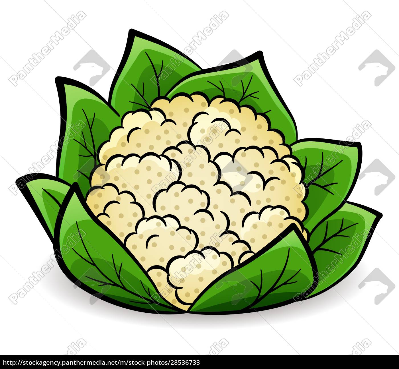 Couve-flor. Desenho Vegetal. Cone Simples De Cor. Ilustração De Doodle  Vector Mão Desenhada Royalty Free SVG, Cliparts, Vetores, e Ilustrações  Stock. Image 171101230