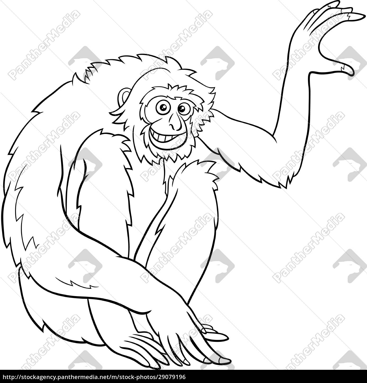Fotos de Macaco desenho, Imagens de Macaco desenho sem royalties