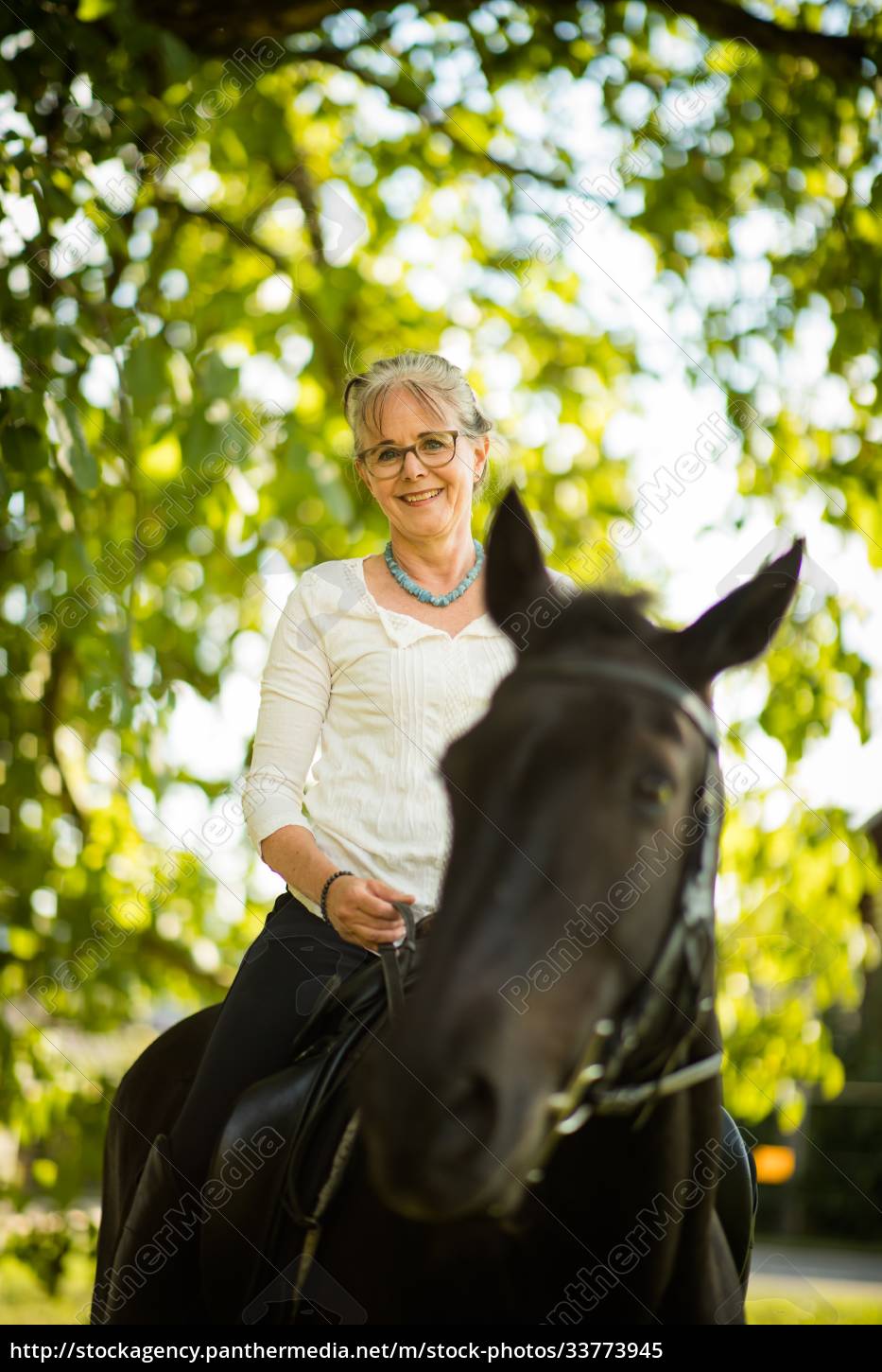 Desporto equestre de cavalos de adestramento Fotos de Stock, Desporto  equestre de cavalos de adestramento Imagens sem royalties