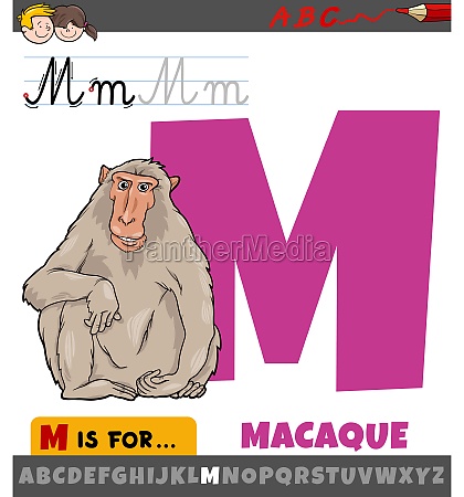 Letra m é para alfabeto de desenho animado de macaco